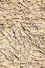 Image showing cracked sand in morocco africa  macro hay
