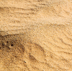 Image showing cracked sand in morocco africa desert abstract macro