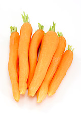 Image showing Fresh carrots