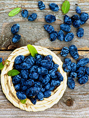 Image showing Honeysuckle Berries