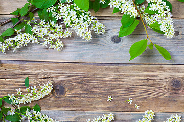 Image showing branches of blossom bird cherry on aged boards antique table