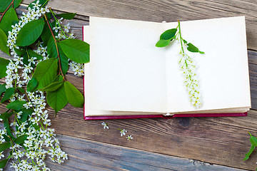 Image showing open book with bird-cherry branches