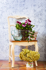 Image showing pelargonium, fuchsia and hydrangea