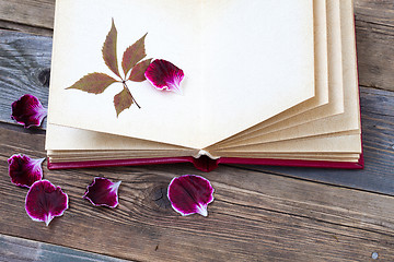 Image showing open book with herbarium leaves