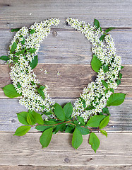 Image showing wreath of bird-cherry blossom branches