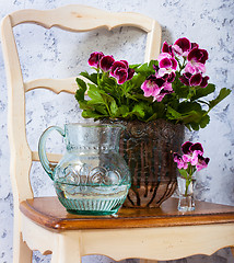 Image showing geranium and a jug of water