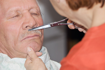 Image showing Shaving mustache