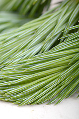 Image showing Christmas tree branches border over white