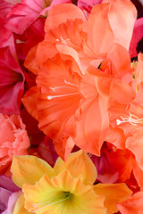 Image showing Colorful of Artificial flowers