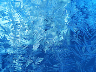 Image showing Ice pattern on winter glass