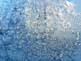 Image showing Ice pattern on winter glass