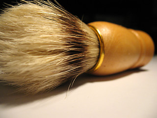 Image showing brush