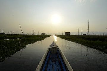 Image showing ASIA MYANMAR NYAUNGSHWE FLOATING GARDENS