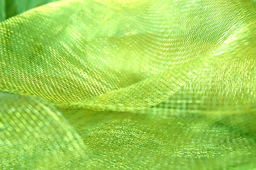 Image showing Green Holiday Netting