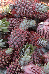 Image showing ASIA MYANMAR NYAUNGSHWE  MARKET