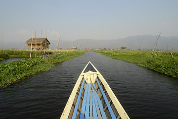 Image showing ASIA MYANMAR NYAUNGSHWE FLOATING GARDENS