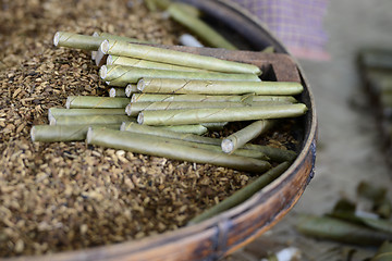 Image showing ASIA MYANMAR NYAUNGSHWE TABACCO FACTORY