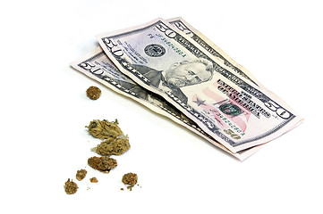 Image showing Three 50 dollar bills and pot