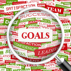 Image showing GOALS