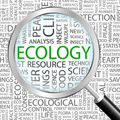 Image showing ECOLOGY.