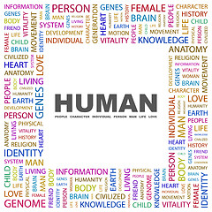 Image showing HUMAN.