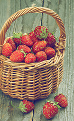 Image showing Forest Strawberries