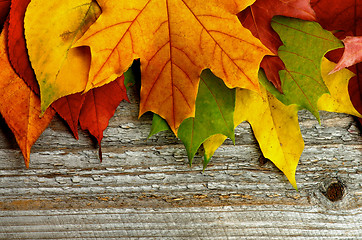 Image showing Frame of Autumn Leafs