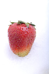 Image showing Close up strawberry in a cold ice