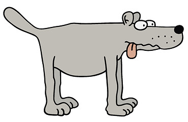 Image showing Funny gray dog