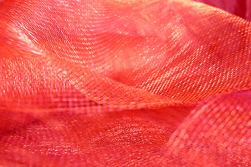 Image showing Red Holiday Netting