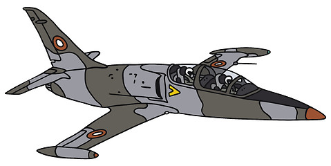 Image showing Camouflage jet