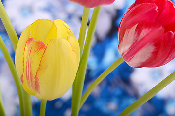 Image showing bouquet of tulips. spring flower