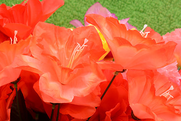 Image showing flowers mixed bouquet for background