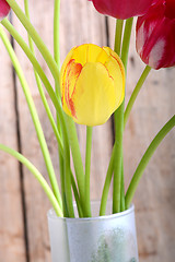 Image showing bouquet of tulips. spring flower