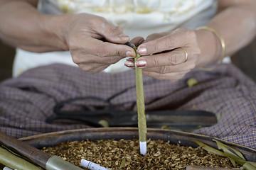 Image showing ASIA MYANMAR NYAUNGSHWE TABACCO FACTORY