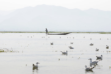 Image showing ASIA MYANMAR NYAUNGSHWE INLE LAKE