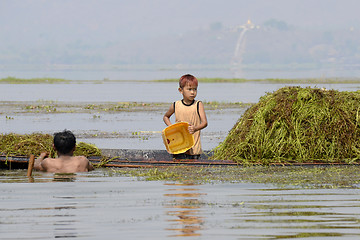 Image showing ASIA MYANMAR NYAUNGSHWE INLE LAKE