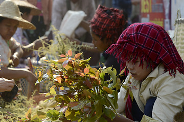 Image showing ASIA MYANMAR NYAUNGSHWE  MARKET