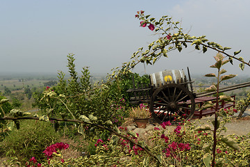 Image showing ASIA MYANMAR NYAUNGSHWE WINE