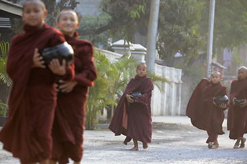 Image showing ASIA MYANMAR NYAUNGSHWE MONK