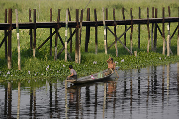 Image showing ASIA MYANMAR NYAUNGSHWE FLOATING GARDENS