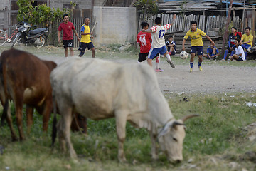 Image showing ASIA MYANMAR NYAUNGSHWE SOCCER FOOTBALL