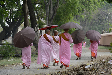 Image showing ASIA MYANMAR NYAUNGSHWE NUN