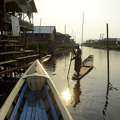 Image showing ASIA MYANMAR NYAUNGSHWE FLOATING GARDENS