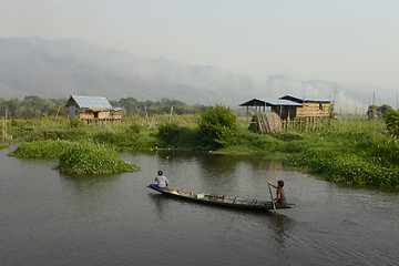 Image showing ASIA MYANMAR NYAUNGSHWE FLOATING GARDENS