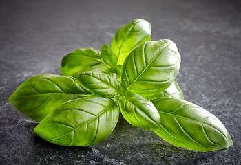 Image showing fresh basil leaves