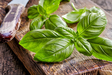 Image showing fresh basil leaves