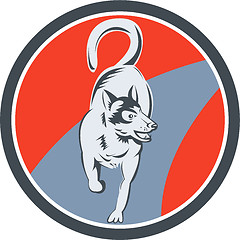 Image showing Huskie Sled Dog Circle Retro