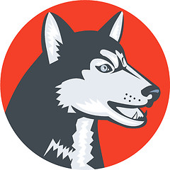 Image showing Siberian Husky Dog Head Circle Retro