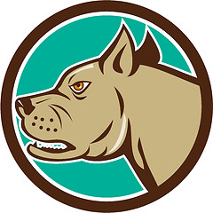 Image showing Mastiff Dog Mongrel Head Circle Cartoon